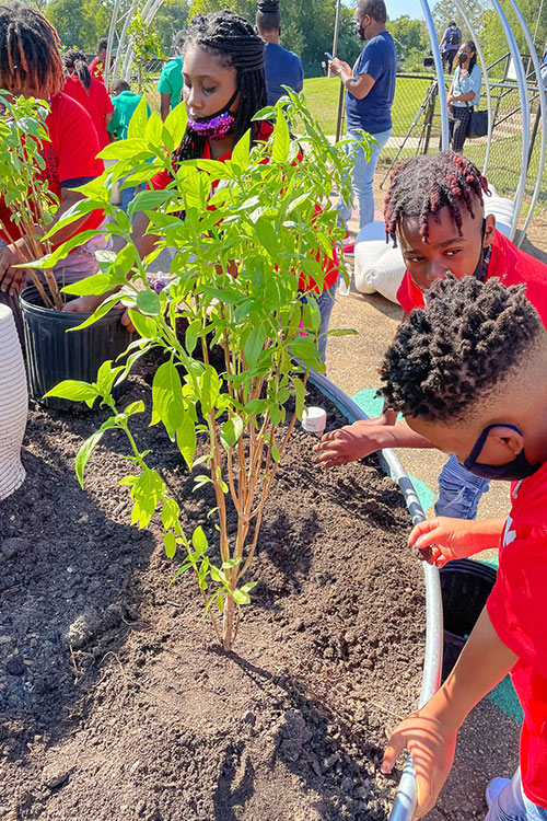 students lean over plant and touch dirt, others in background are working on potted plants and others are in the background viewing the playground
