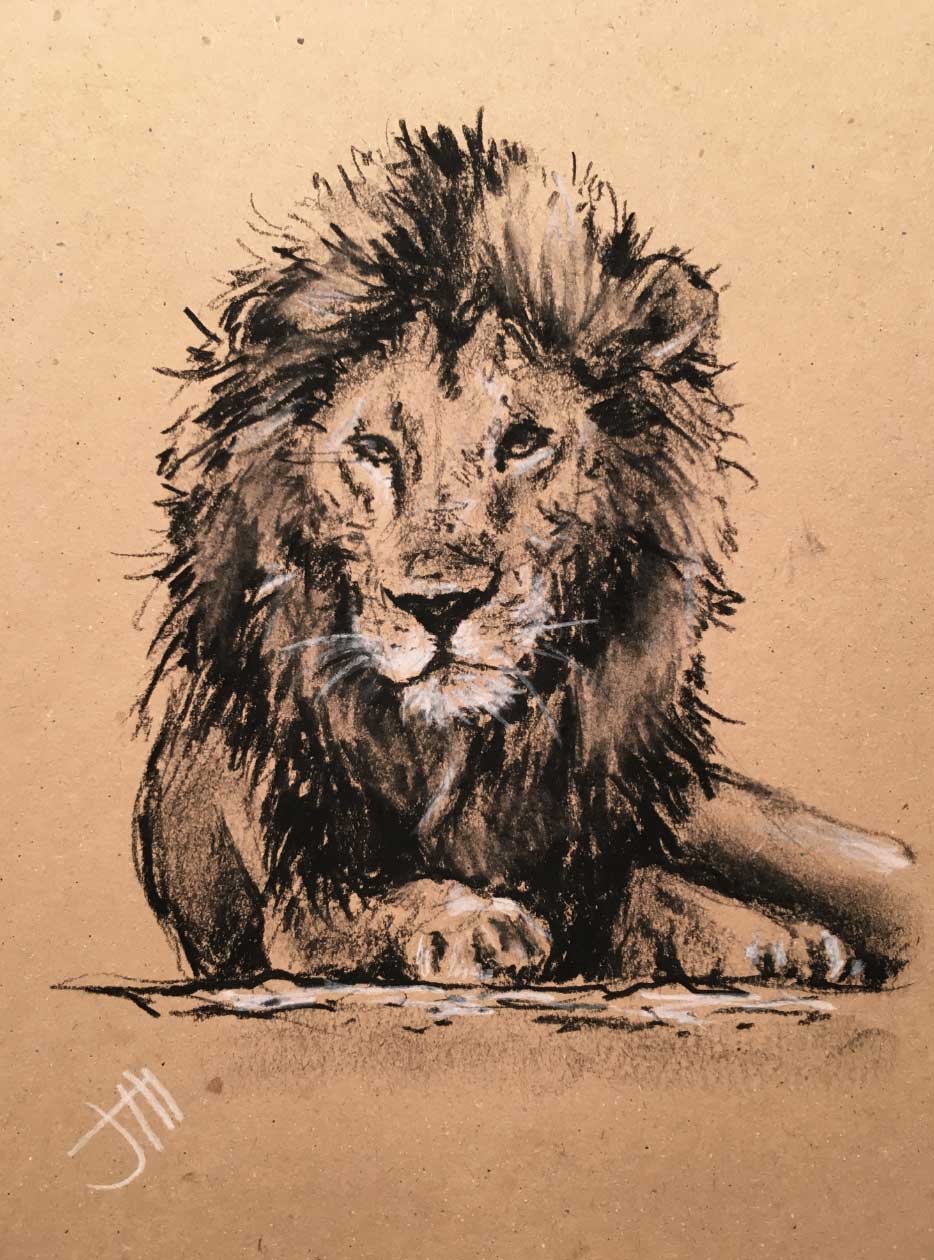 Jill Sowell, 15 Minute Lion Study in Charcoal