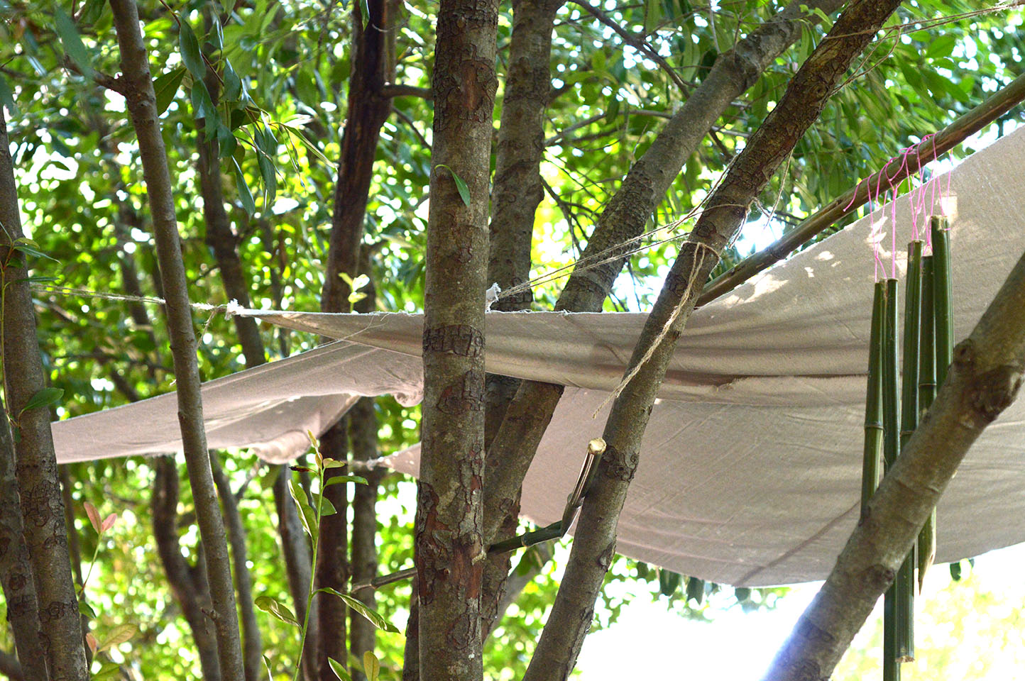 cloth shelter attached to trees