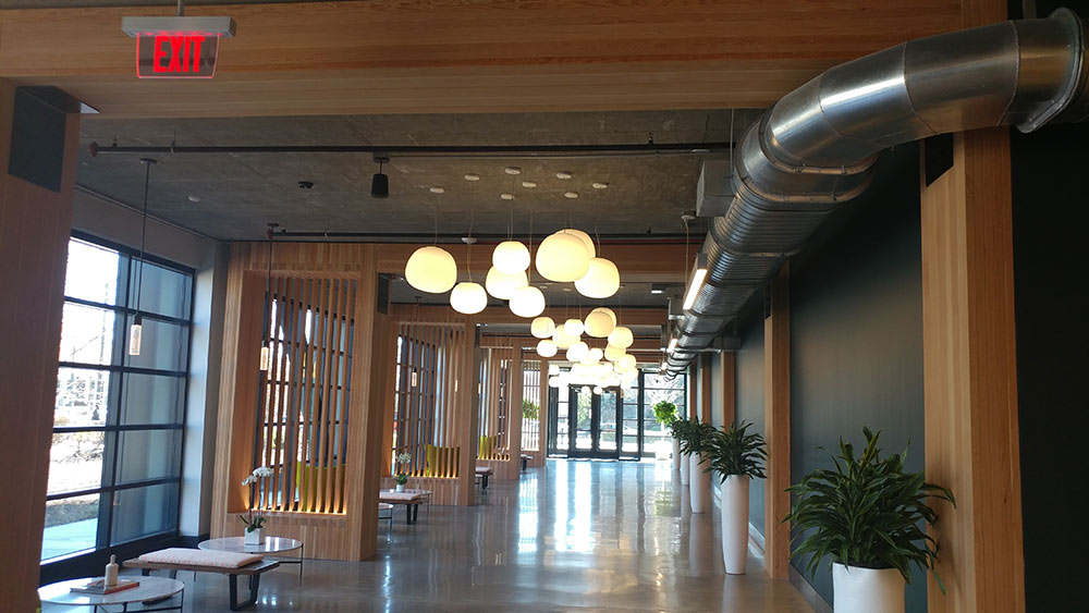 inside of T3 building hallway - shows wood columns