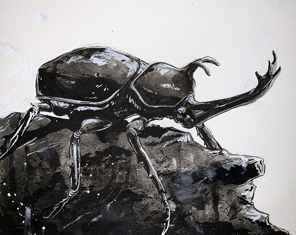 Black ink drawing of a beetle on the ground.