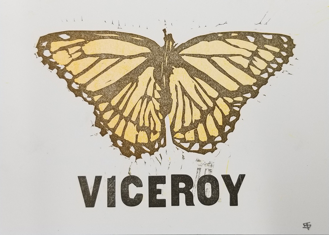 Image of a orange butterfly over the word Viceroy on a white background.