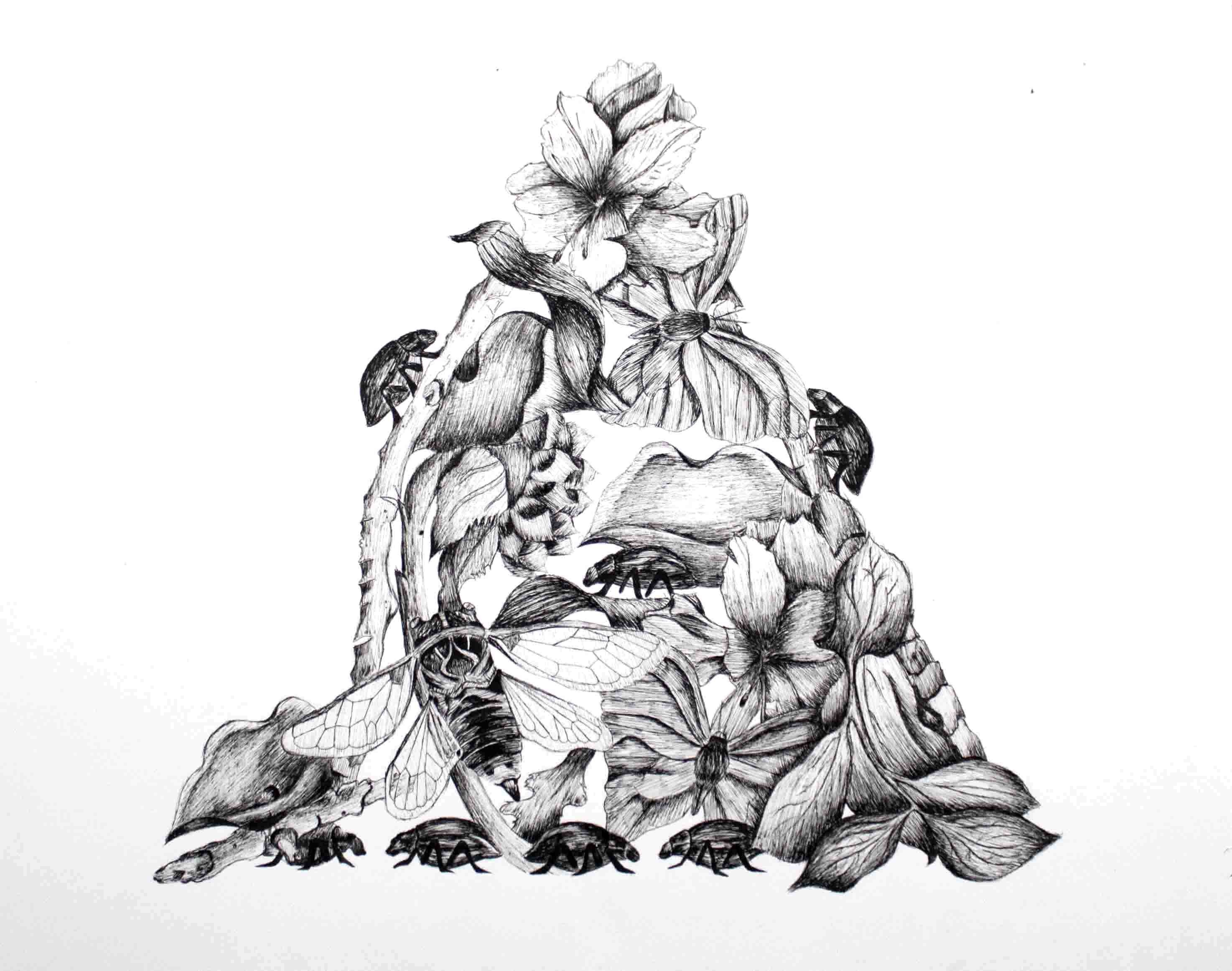 Black and white drawing of insects stacked in a pyramid shape.