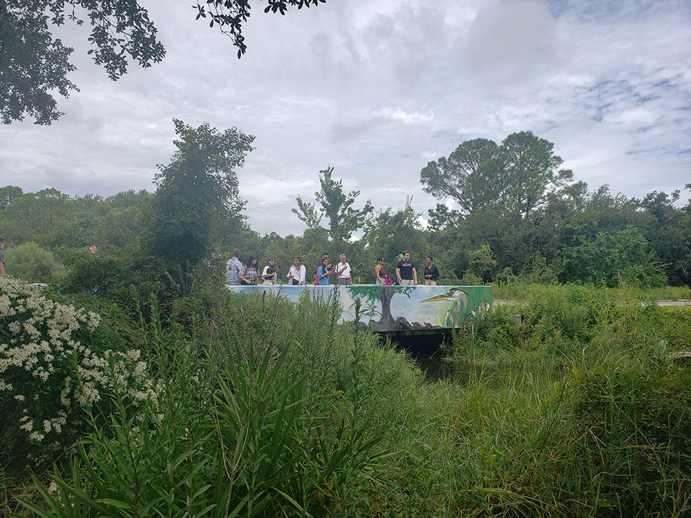 Students and faculty with the MSU Coastal Studio gather on a bridge while conducting research