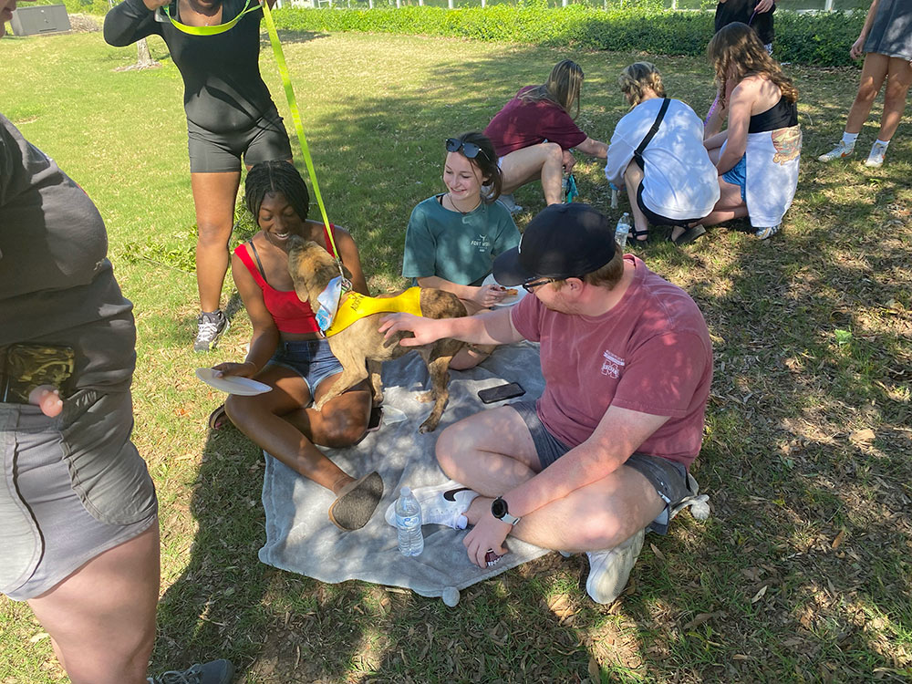 students enjoy dogs from Small Mercies Animal Rescue at decompression event