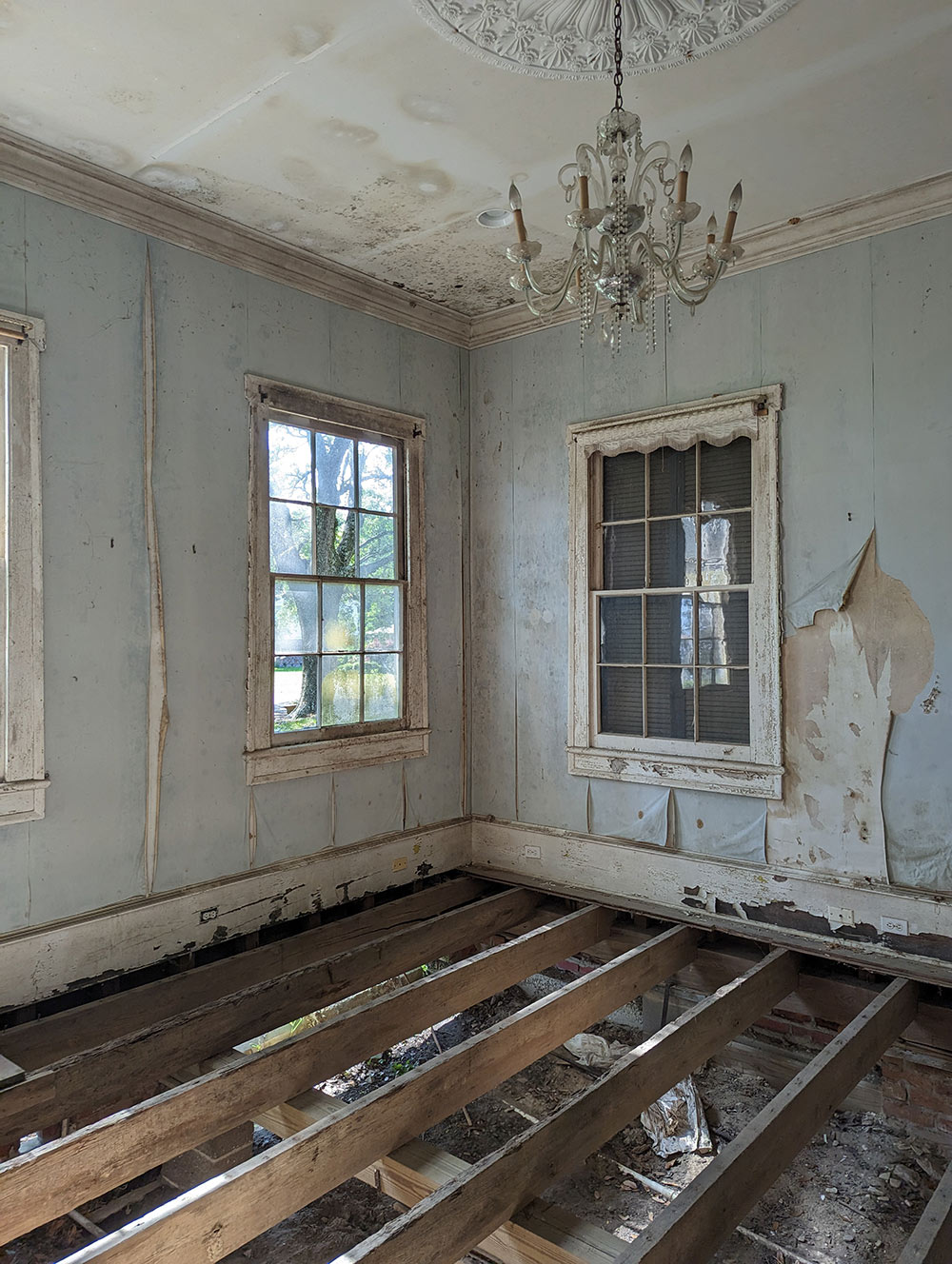 Historic Preservation student selected as finalist and People’s Choice ...