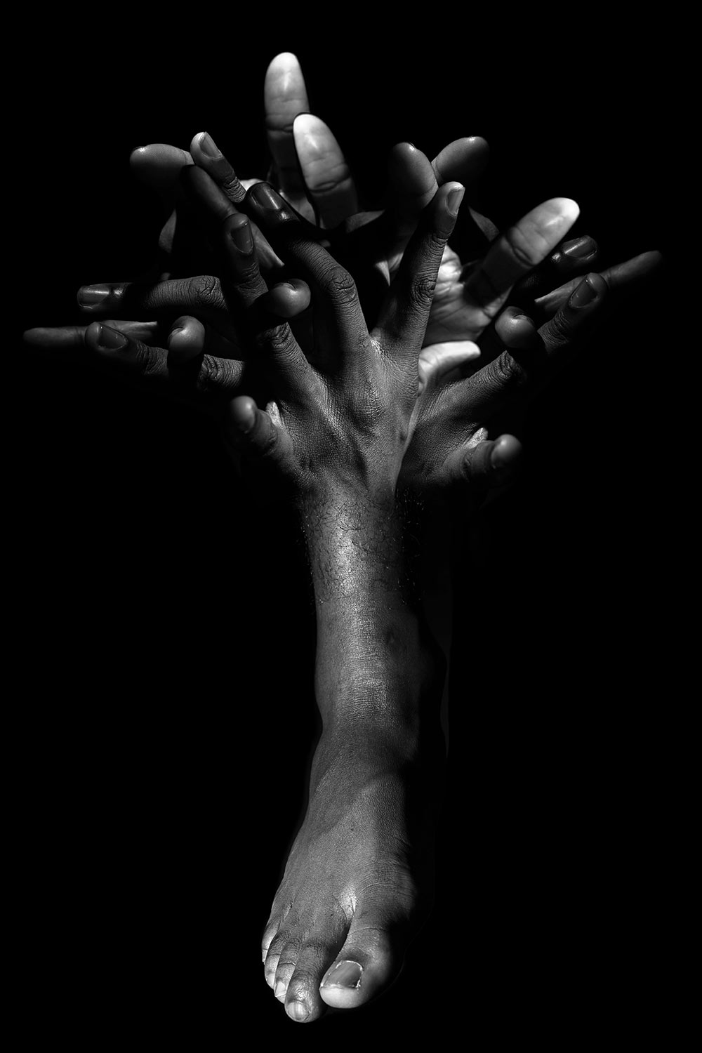 black and white image of hands and feet merged together to create a tree look