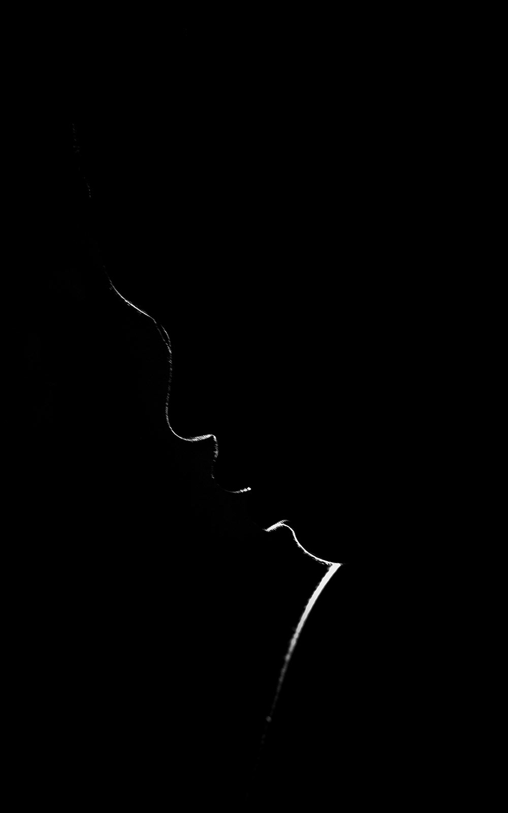 black and white dark silhouette of face facing left
