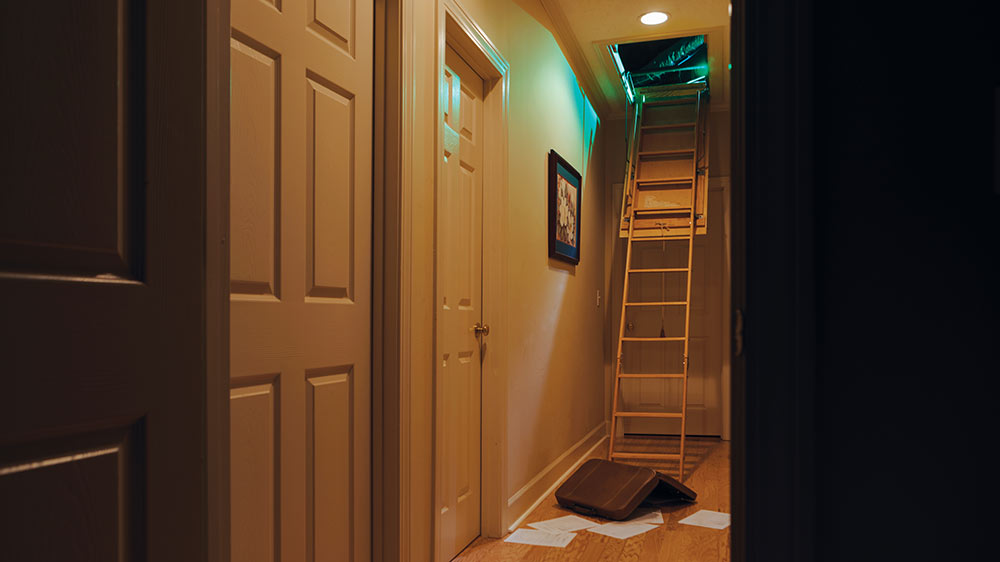 Hallway with attic open and ladder down, green light coming from opening