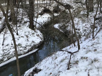 Picture of stream surrounded by snowy woods