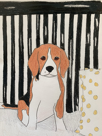 Drawing of a beagle dog sitting.