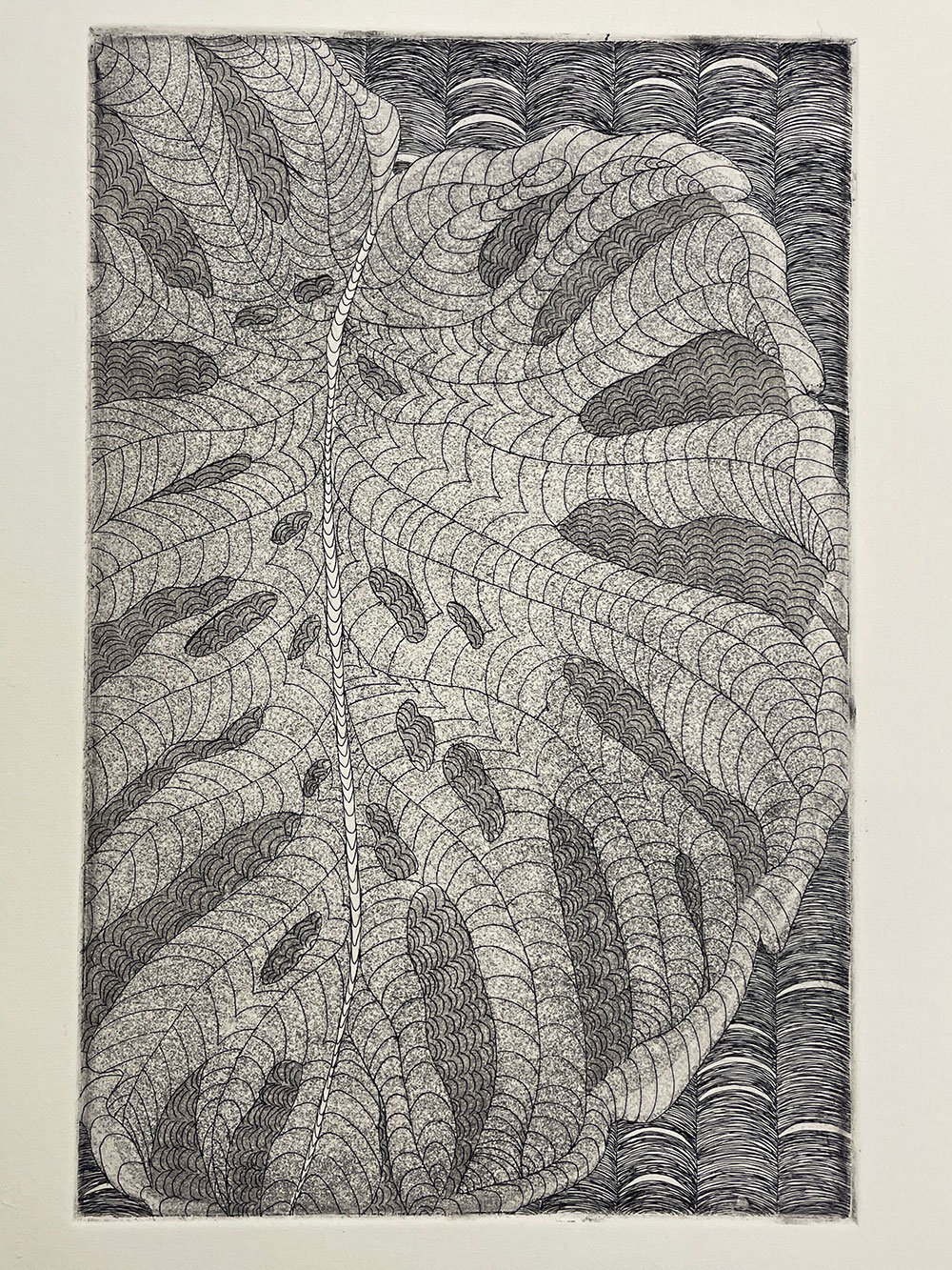 A printed image of an elephant ear leaf