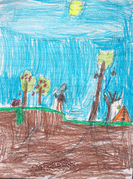 A drawing of the outdoors with trees and other plant life