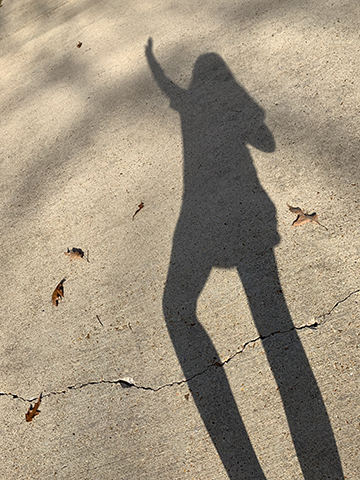 Color photograph of a girl's shadow on the sidewalk.