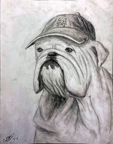 Pencil drawing of a bulldog wearing an MSU hat.