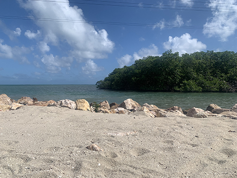 Photograph of a sandy beach.