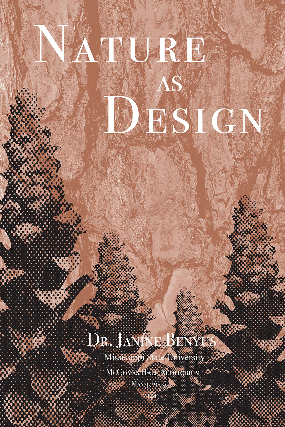 A Nature as design poster created out of a bitmapped black pinecones and a light brownish colored rock.
