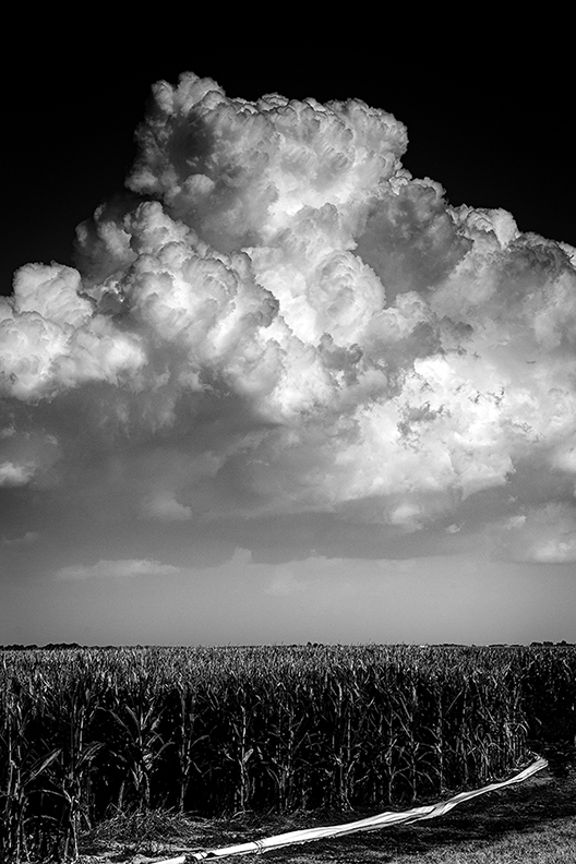 Black and white photograph of a large white cloud in the sky over a field.