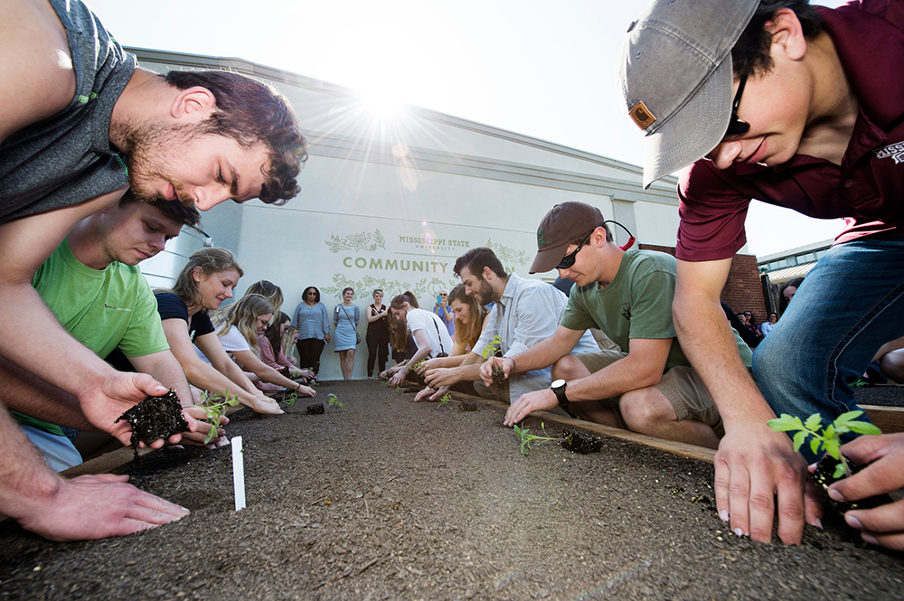 Landscape Architecture Community Garden first-planting day.
 (photo by Megan Bean / © Mississippi State University)