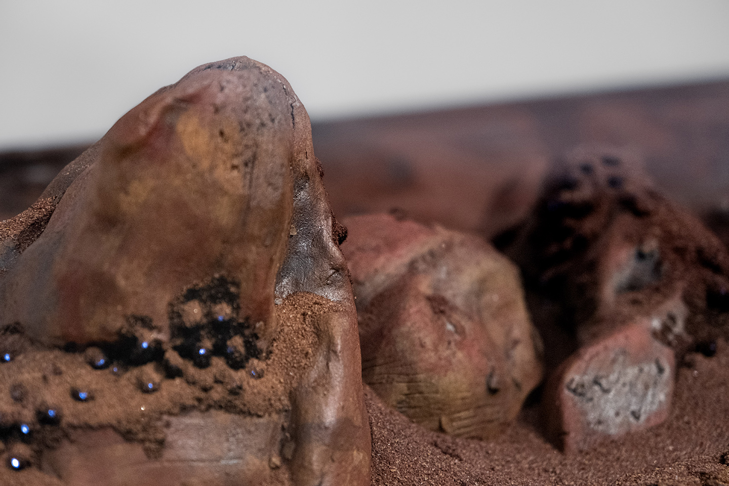 Detail of red grains and rocks arranged as a landscape.