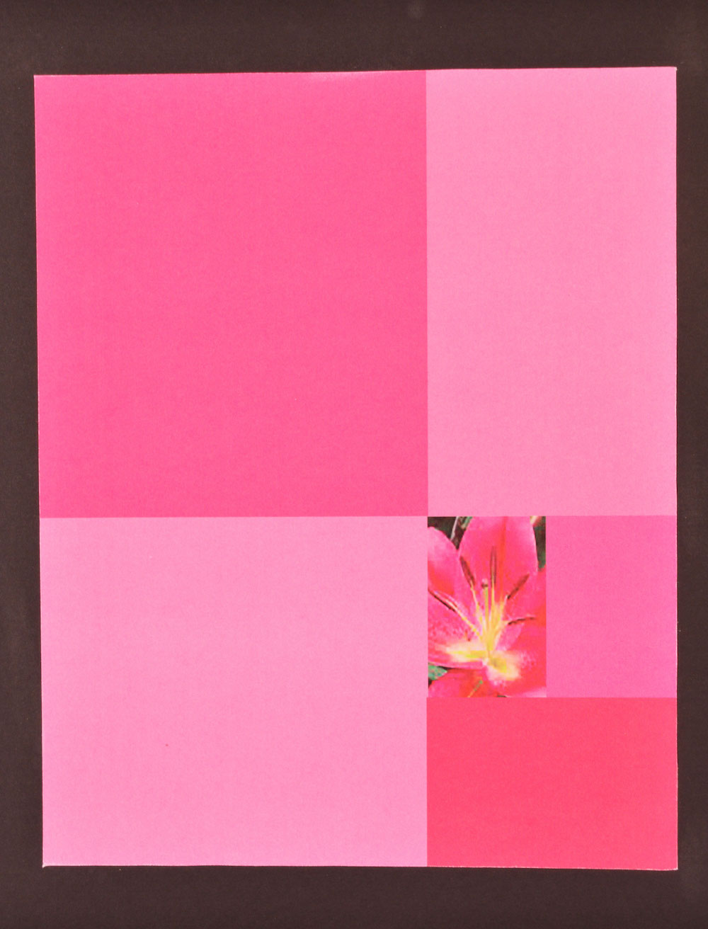 Image collage of various shades of pink. One seciton appears to look like a flower. 