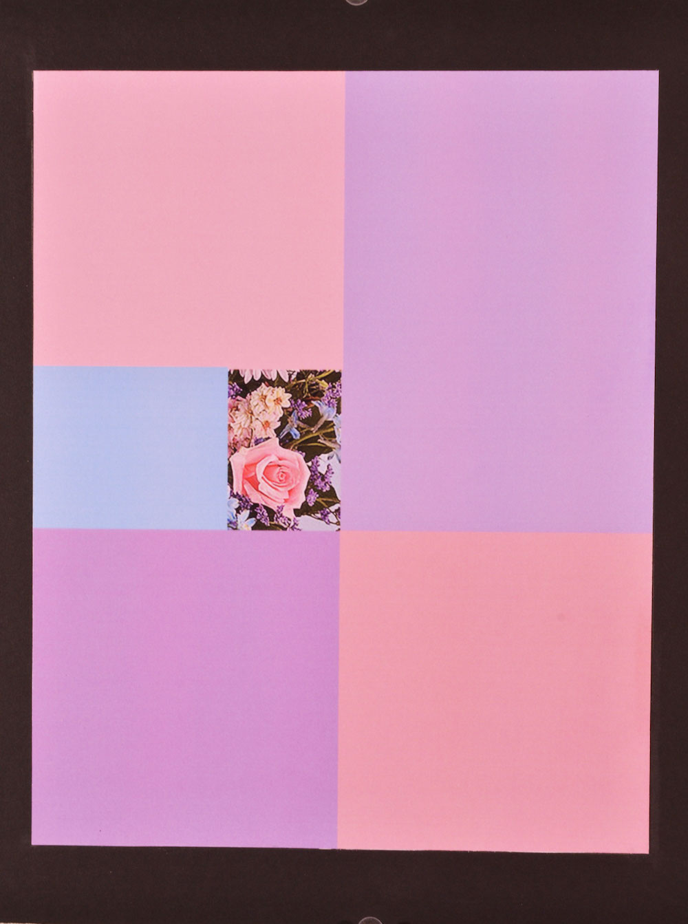 Image collage of various shades of purples, pinks, and oranges. One seciton appears to look like several flowers. 