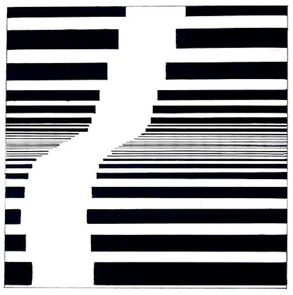 Image of black and white lines that form to create an illusion.