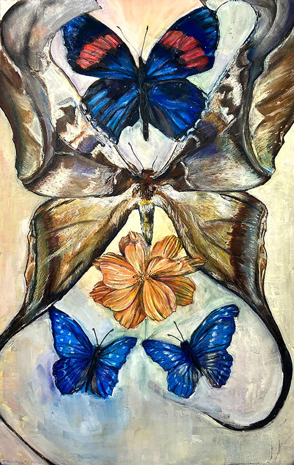 A drawing of several colorful butterflies