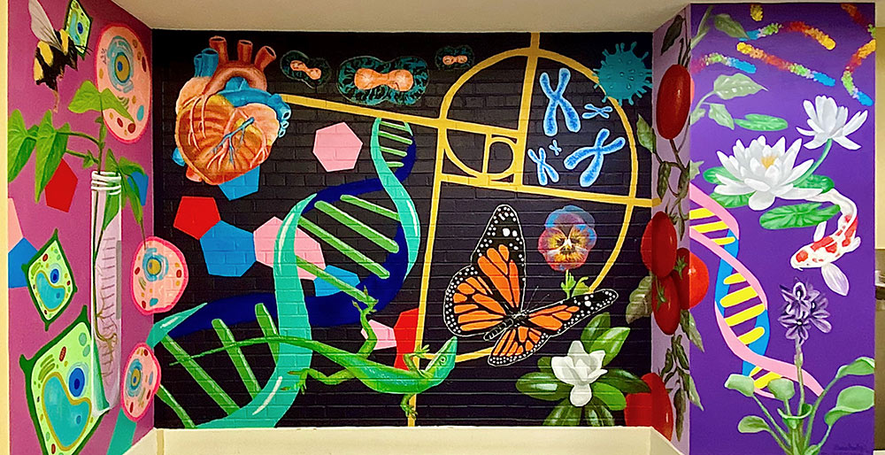 A colorful mural on a wall in Harned Hall with pink, black and purple backgrounds and many paintings of aspects of Biology. 