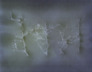 Blurred image of four vertical plant shapes on soft gray background.