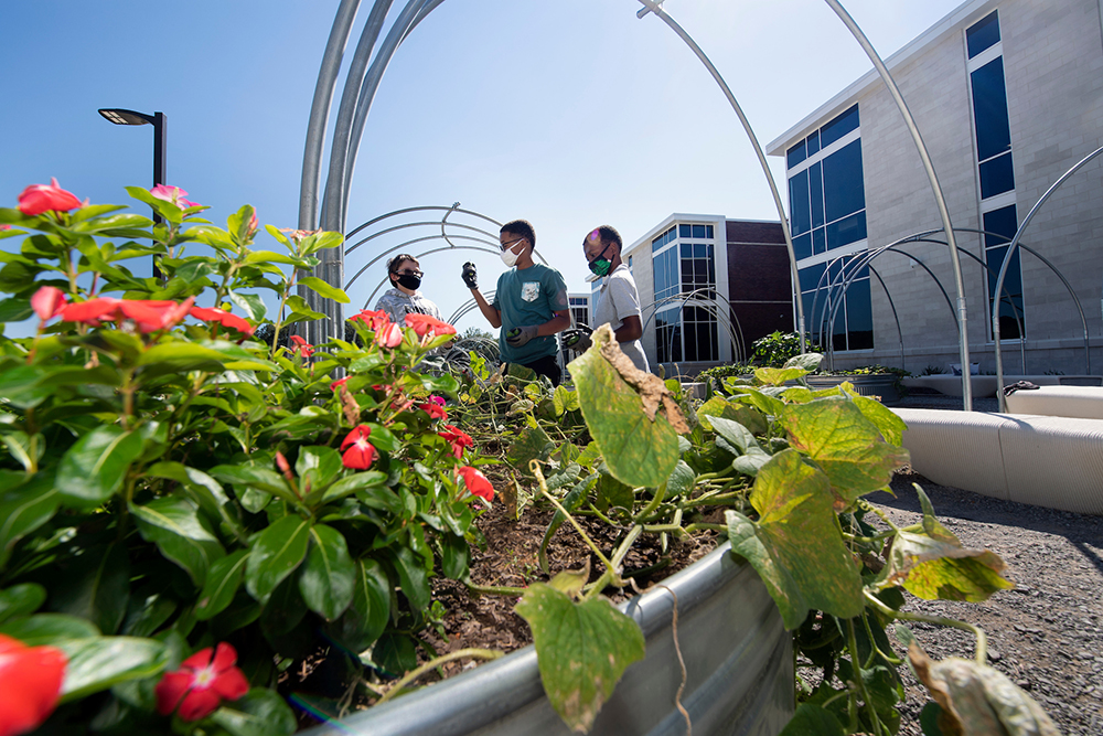 view of 3 students wearing masks behind a circular garden bed