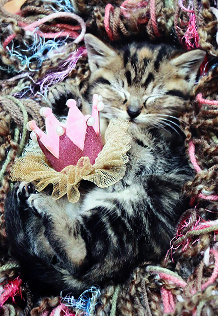 Photograph of a sleeping kitten laying in yarn.