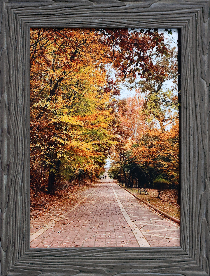 Image of outdoor path in the fall