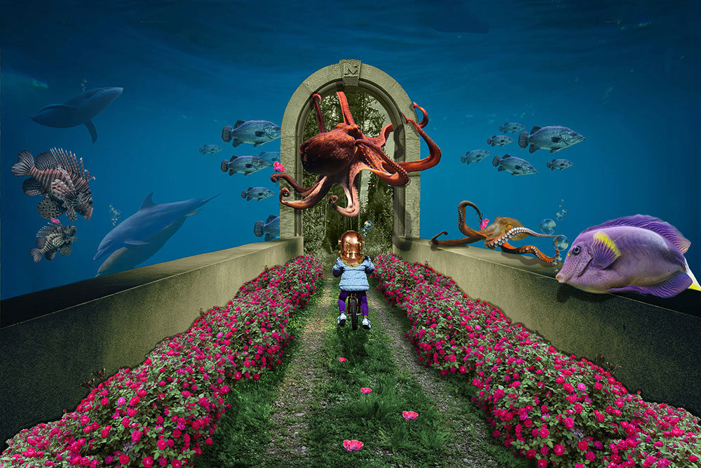 A photoshopped image composed of a little girl riding her bicycle through an underwater rose garden surrounded by various types of underwater creatures. 