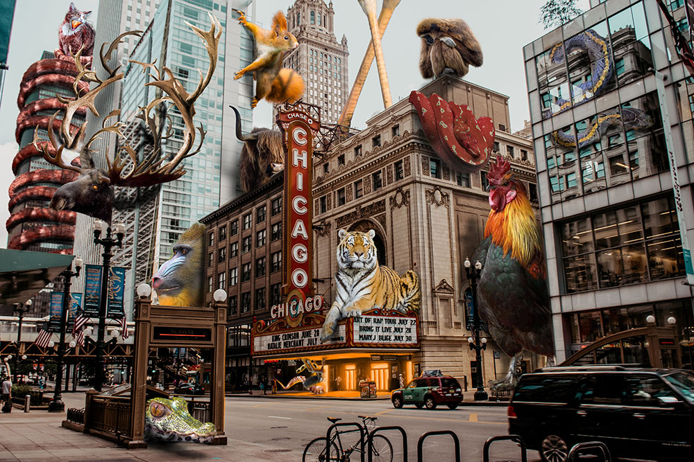 A photoshopped image composed of the city of Chicago, with various types of large animals appearing throughout the street. There is a moose peering around a building. An alligator coming up from the subway. A tiger resting on top of the movie theater. And a snake slithering down the side of another building.
