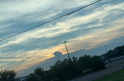 Photograph of the sky and clouds. One cloud is shaped like a turtle.