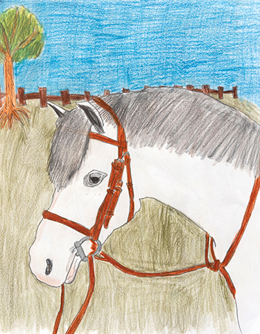 Portrait drawing of a white horse with brown bridle standing in a fenced in field.