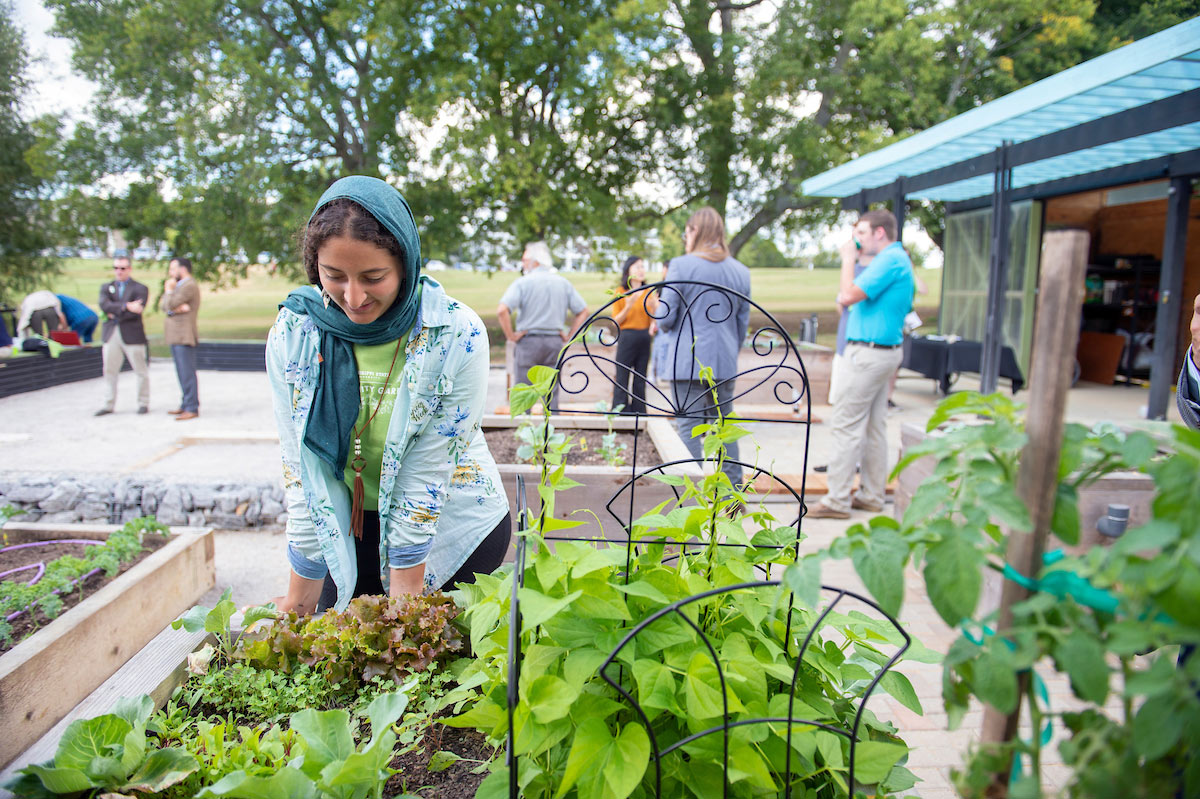 Nada Abdel-Aziz, a junior architecture major from Greenwood, admires flourishing plants in one of the many raised beds at the MSU Community Garden.