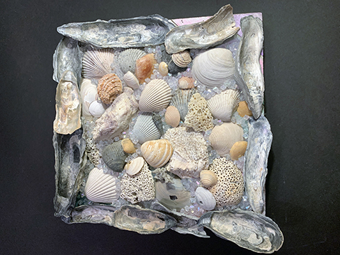 Multiple sea shells arranged in a square.