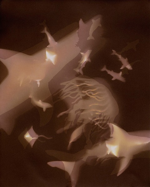 OCEANsm