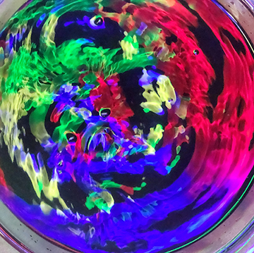 Photograph of the inside of a glass of water with different colors.