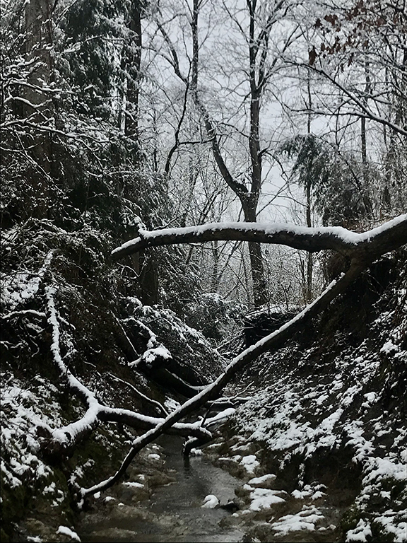 Black and white photograph of a creek in a forest covered with white snow.