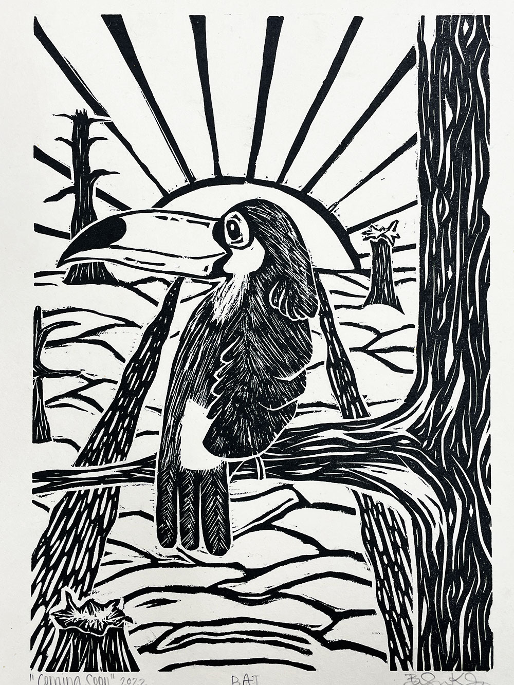 A printed image of a Tucan sitting on the branch of a tree, with a sun rising behind it. 