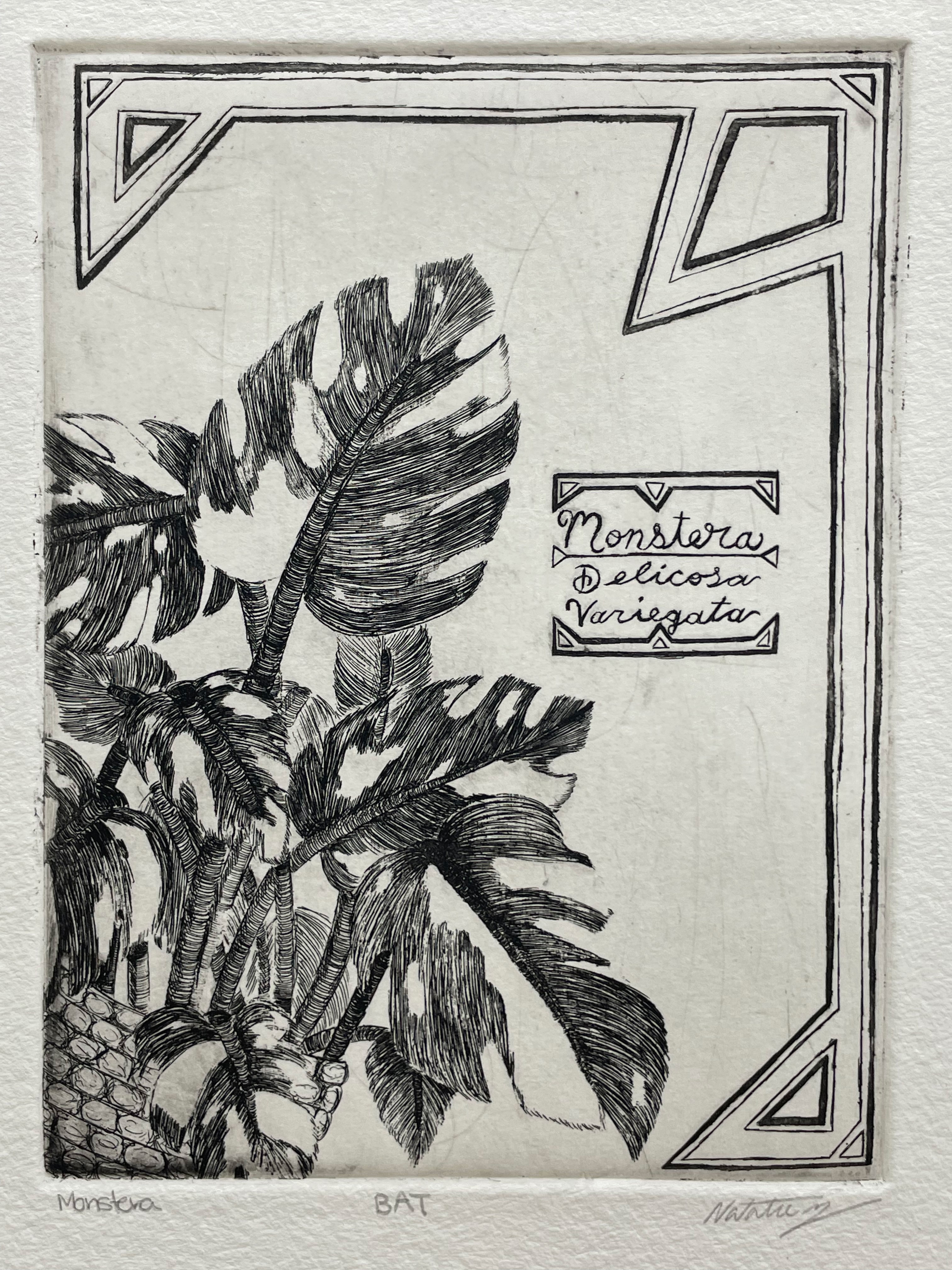 A black and white printed image composed of a plant in the bottom left hand corner with the words "Monstera Deliciosa Variegata" written on the right side. 