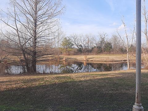 Photograph of a lake.