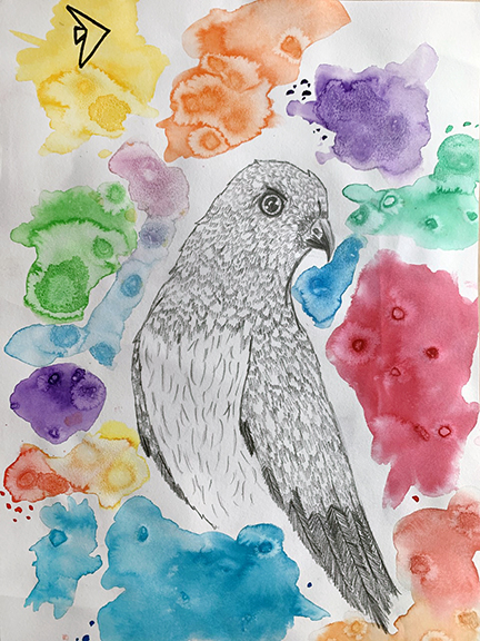 Drawing of a bird surrounded by water color paint.