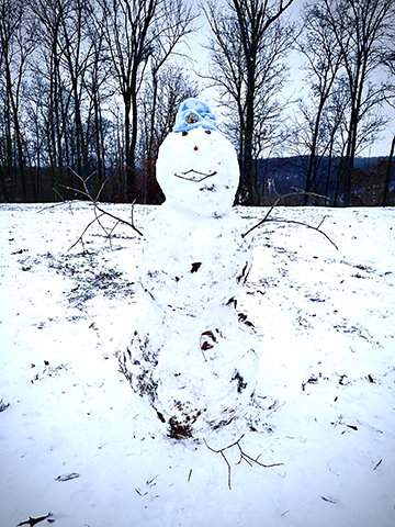 Photograph of a snowman.