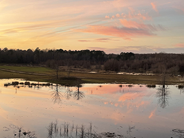 Photograph of landscape at sunset. Pond of water in foreground.