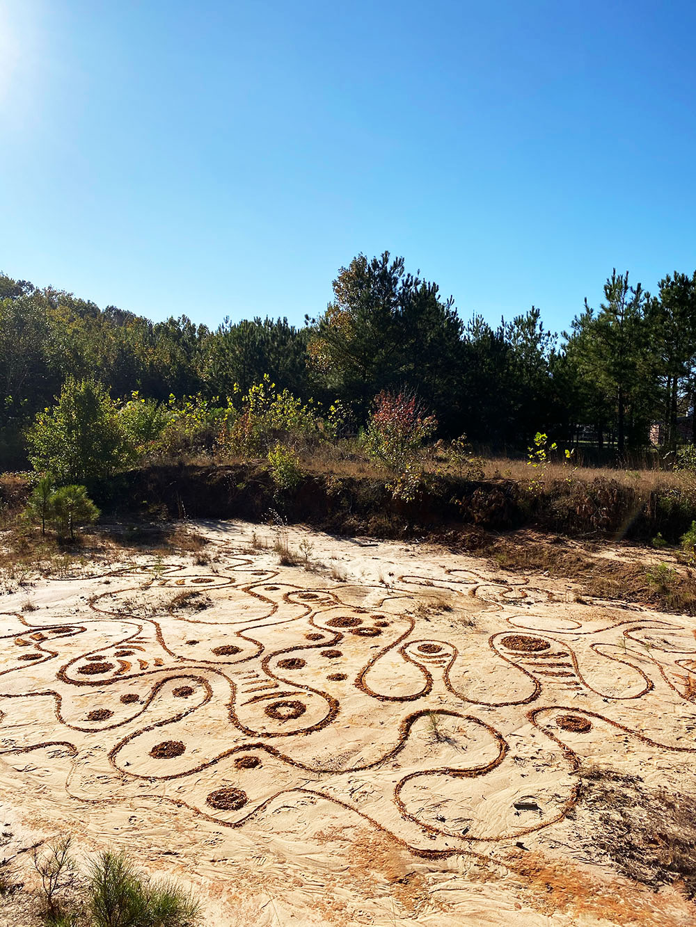 A interesting and unique appears to be drawn in a large area off sand.