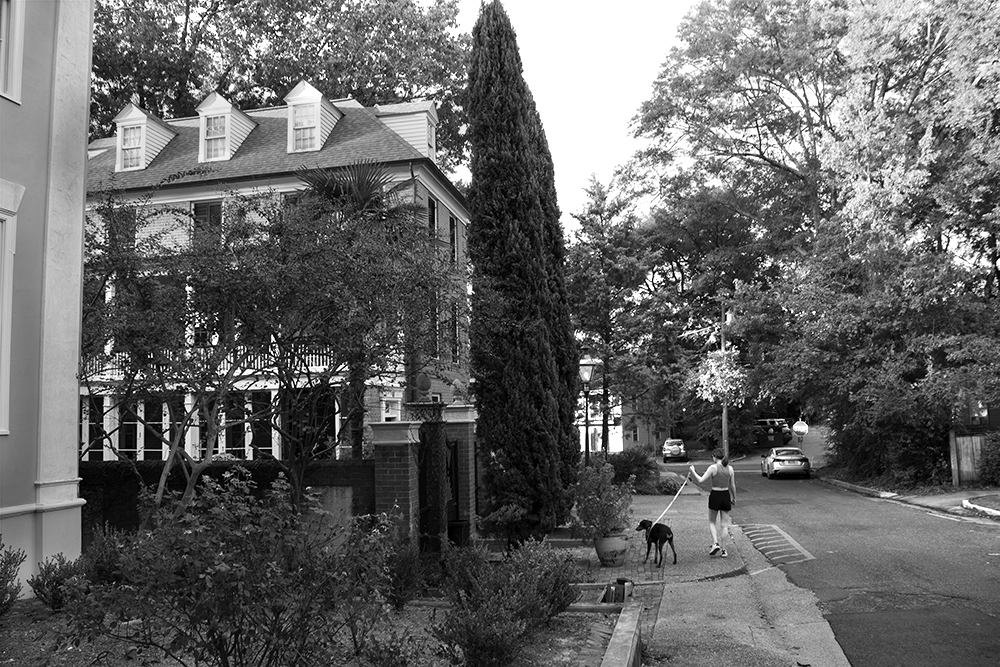 A black and white photographed image of a street with a home and woman walking her dog